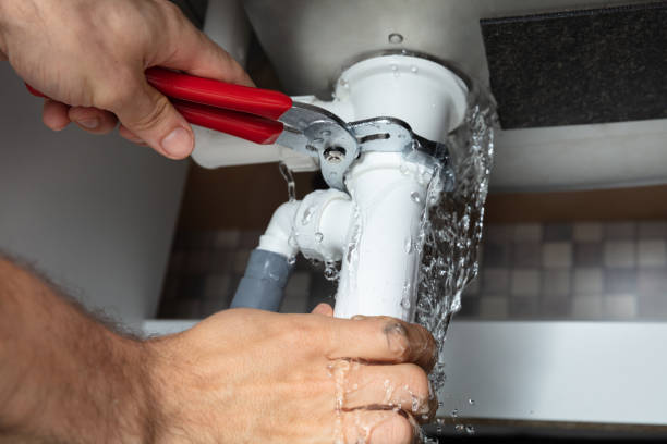 Best Water damage mitigation services  in Temecula, CA