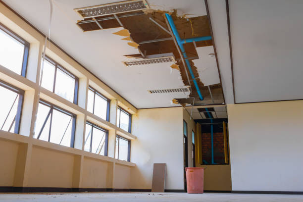 Best Professional water damage repair  in Temecula, CA