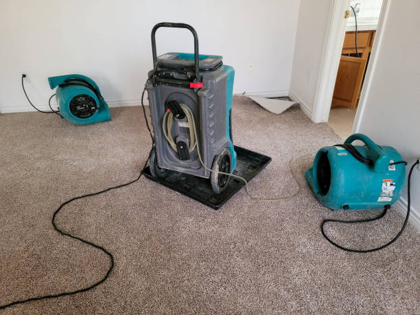 Best Mold removal after water damage  in Temecula, CA