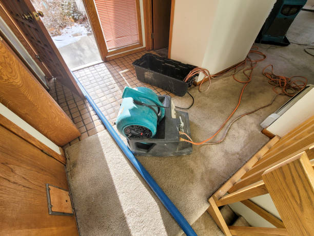 Best Local water damage restoration  in Temecula, CA
