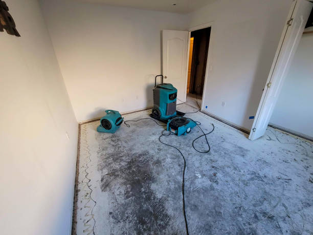 Water damage restoration mold remediation in Temecula, CA