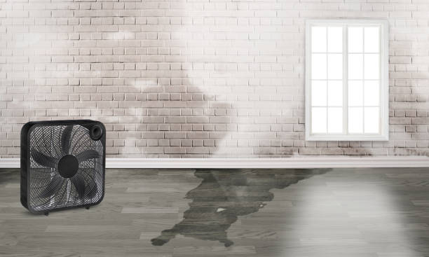 Professional Water damage restoration in Temecula, CA