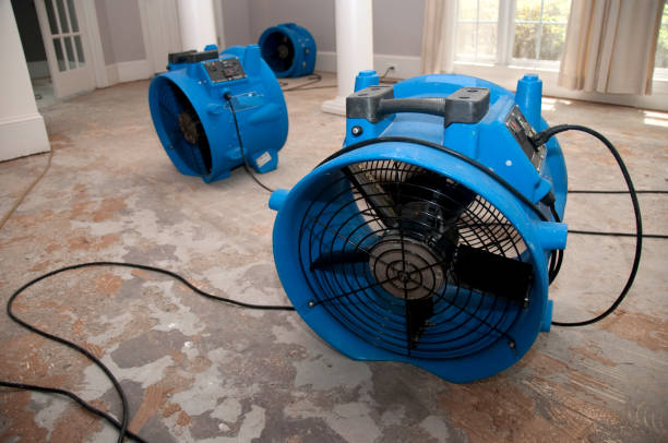 Water damage restoration mold remediation in Temecula, CA