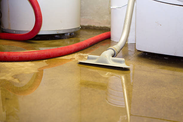 Best Flood damage cleanup  in Temecula, CA