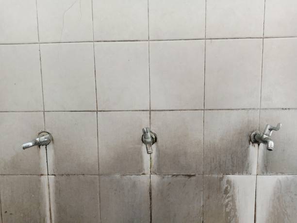 Best Flood restoration services  in Temecula, CA