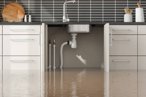 Best Flood damage cleanup  in Temecula, CA