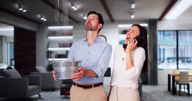 Best Local water damage restoration  in Temecula, CA