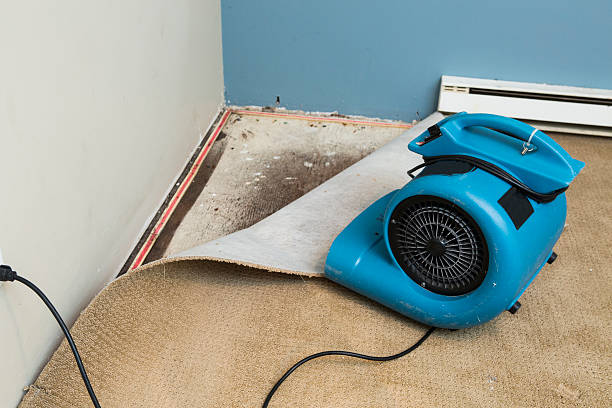 Best Ceiling water damage repair  in Temecula, CA